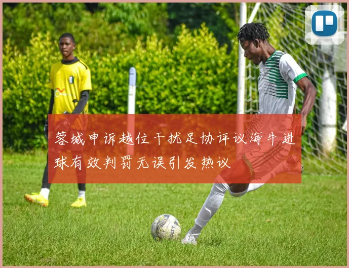 蓉城申诉越位干扰足协评议海牛进球有效判罚无误引发热议