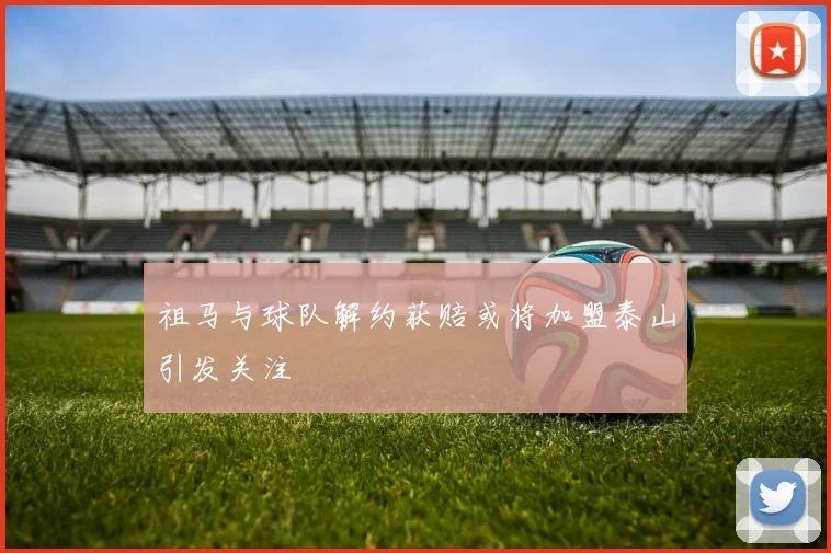 祖马与球队解约获赔或将加盟泰山引发关注