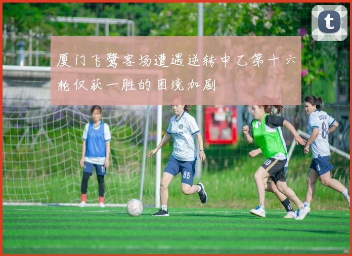 厦门飞鹭客场遭遇逆转中乙第十六轮仅获一胜的困境加剧